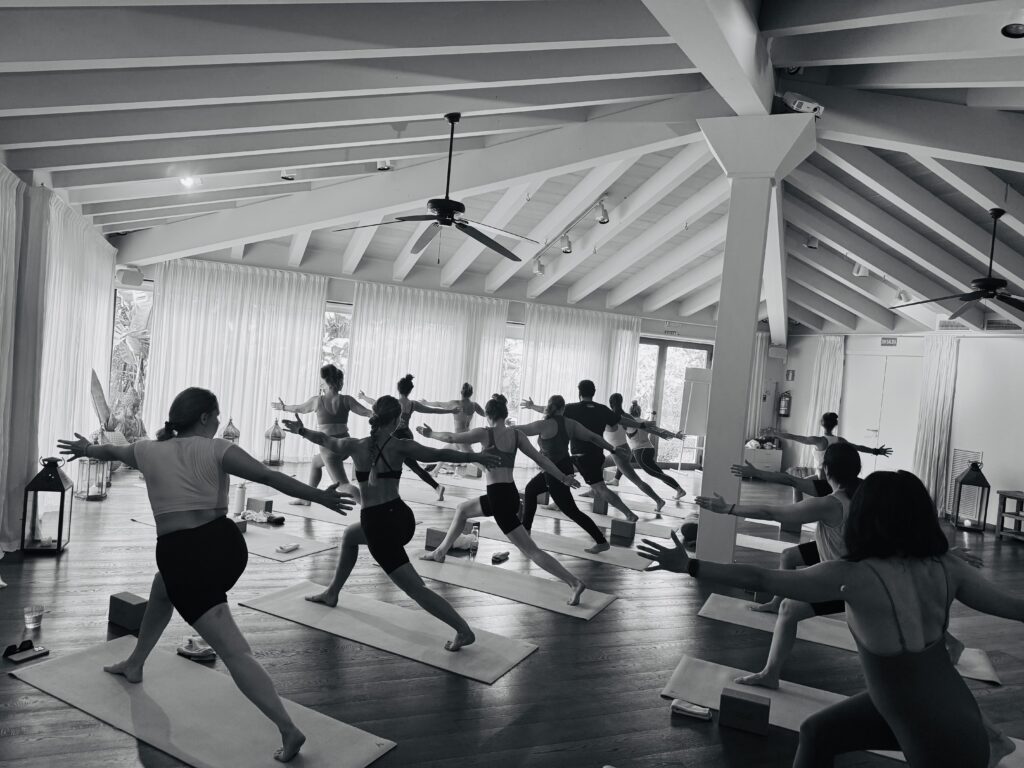 best Vinyasa Yoga teacher training